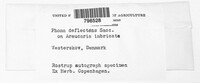 Image Associated With the Occurence